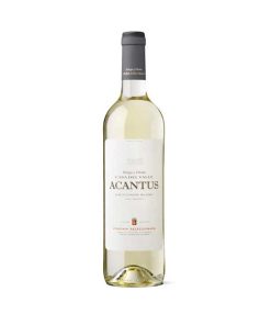 Acantus Sauvignon Blanc