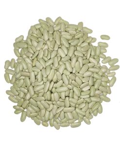 Alubia verdina