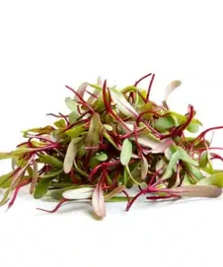 Brote de betabel 100g MPV