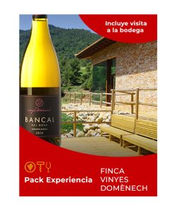 Experiencia Vinyes DomÈnech
