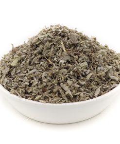 Salvia