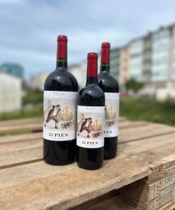 Vino Rioja «22 Pies» Crianza Magnum 1,5L