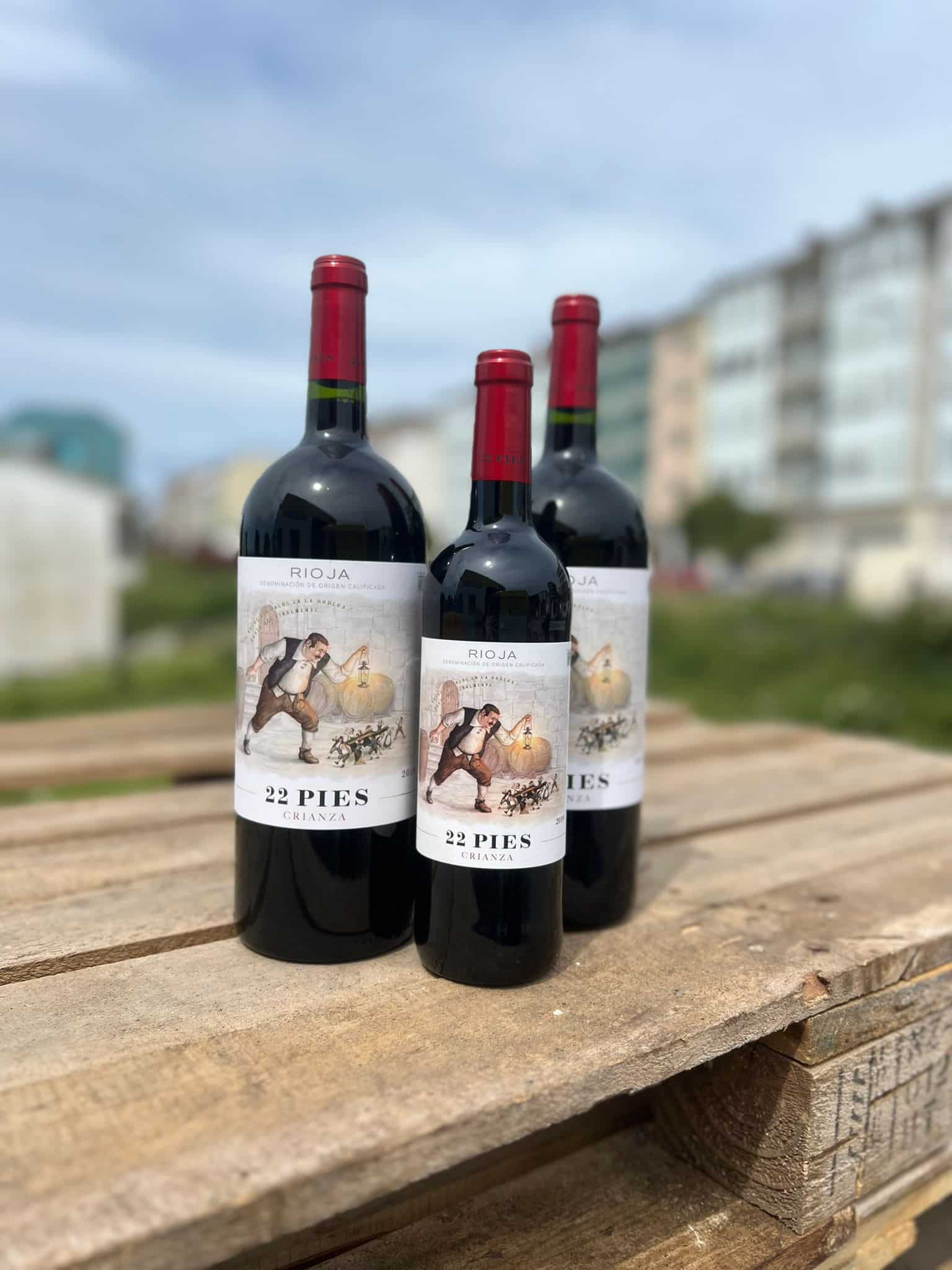 Vino Rioja «22 Pies» Crianza Magnum 1,5L - Imagen 2
