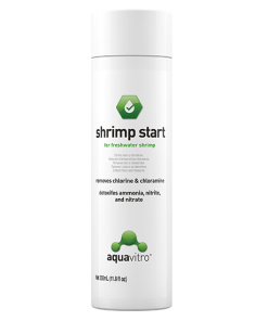 Shrimp Star de Aquavitro